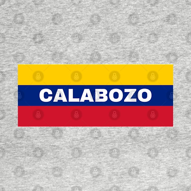 Calabozo City in Venezuelan Flag Colors by aybe7elf